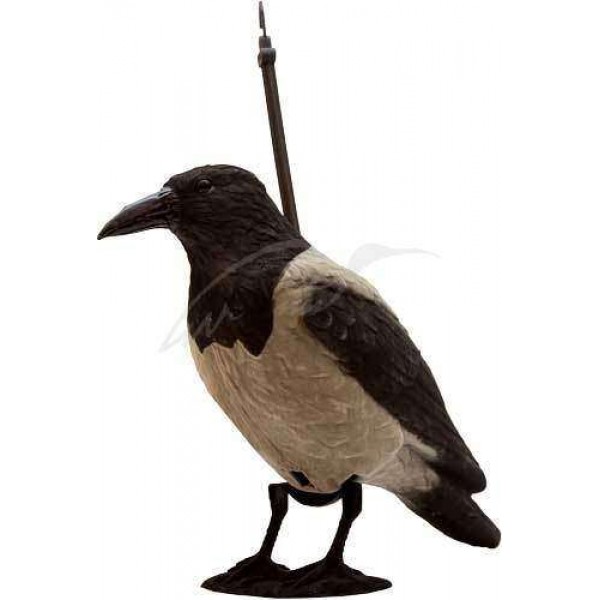 Підсадна ворона BirdlandПодсадная ворона Birdland - 3507871