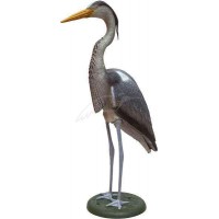 Підсадна чапля BirdlandПодсадная чапля Birdland