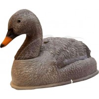 Підсудний гусак Birdland отдыхающийПодсадной гусак Birdland відпочиваючий