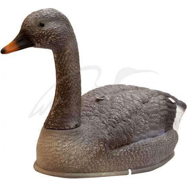 Підсудний гусак Birdland плывущийПодсадной гусак Birdland пливе - 3507875