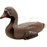 Підсудний гусак Birdland сидящийПодсадной гусак Birdland сидить