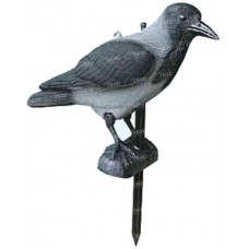 Підсадна сіра ворона Sport PlastПодсадная сіра ворона Sport Plast