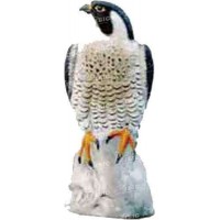 Підсудний сокіл Sport PlastПодсадной сокіл Sport Plast