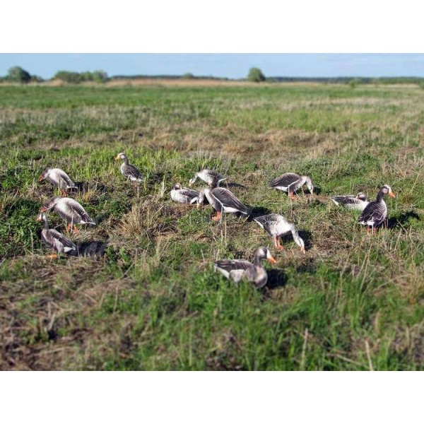 Профиля Андреевские гусиные (12 ед. в сумке)Профиля Андреевские гусиные (12 ед. в сумке) - 3508005 Профиля Андреевские гусиные (12 ед. в сумке)Профиля Андреевские гусиные (12 ед. в сумке) - 3508005