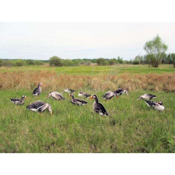 Профиля Андреевские гусиные (12 ед. в сумке)Профиля Андреевские гусиные (12 ед. в сумке) - 3508005 Профиля Андреевские гусиные (12 ед. в сумке)Профиля Андреевские гусиные (12 ед. в сумке) - 3508005