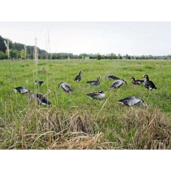 Профиля Андреевские гусиные (12 ед. в сумке)Профиля Андреевские гусиные (12 ед. в сумке) - 3508005 Профиля Андреевские гусиные (12 ед. в сумке)Профиля Андреевские гусиные (12 ед. в сумке) - 3508005