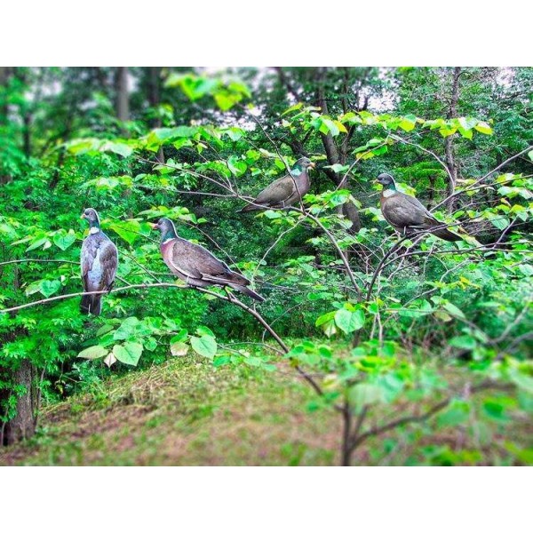 Профілю Андріївські вяхиря (12 од. в сумці)Профілю Андріївські вяхиря (12 од. в сумці) - 3508010 Профілю Андріївські вяхиря (12 од. в сумці)Профілю Андріївські вяхиря (12 од. в сумці) - 3508010