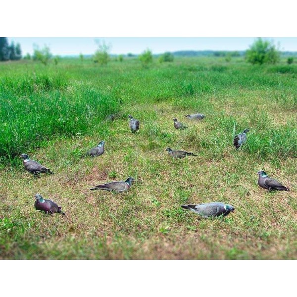 Профілю Андріївські вяхиря (12 од. в сумці)Профілю Андріївські вяхиря (12 од. в сумці) - 3508010 Профілю Андріївські вяхиря (12 од. в сумці)Профілю Андріївські вяхиря (12 од. в сумці) - 3508010