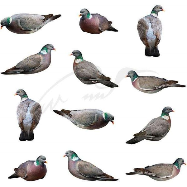 Профиля Андреевские вяхиря (12 ед. в сумке)Профиля Андреевские вяхиря (12 ед. в сумке) - 3508010