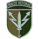 Шеврон ССО 111 Інформаційно-телекомунікаційний вузол з девізом Praeco Victoriae Олива