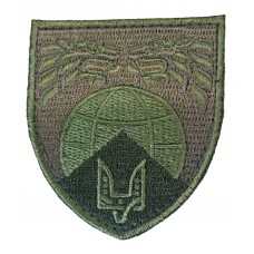 Шеврон "ССО двузуб"