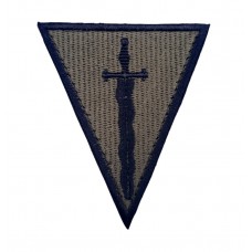 Шеврон 210 Окремий Штурмовий Полк Трикутник Олива (розмір 7х8 см)