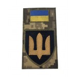 Шеврон площадка с тризубом Пиксель