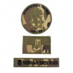 Комплект нашивок Национальная гвардия Украины НГУ Мультикам