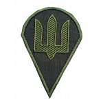 Шеврон Тризуб Десантно-штурмові війська ДШВ Олива (розмір 7х10 см) 