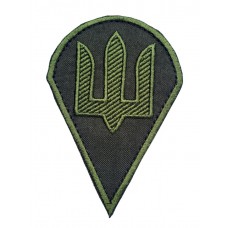 Шеврон Тризуб Десантно-штурмові війська ДШВ Олива (розмір 7х10 см) 