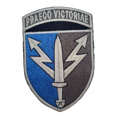 Шеврон ССО 111 Информационно-телекоммуникационный узел с девизом Praeco Victoriae (размер 7х10 см)