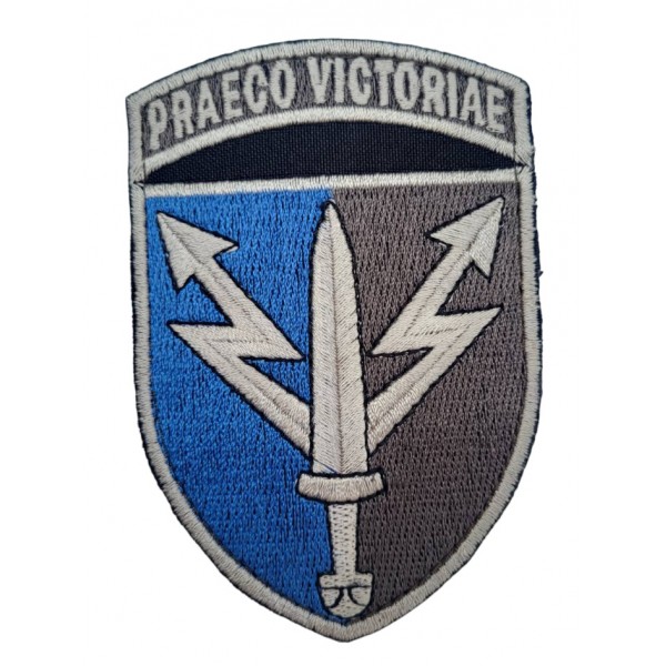 Шеврон ССО 111 Информационно-телекоммуникационный узел с девизом Praeco Victoriae (размер 7х10 см) - 3584496