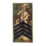 Погон на липучке Старший сержант НГУ Хищник (размер 5х10 см)