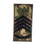 Погон на липучці Перший сержант НГУ Хижак (розмір 5х10 см)