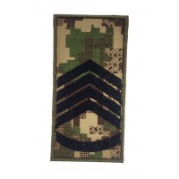 Погон на липучке Первый сержант НГУ Хищник (размер 5х10 см)