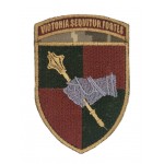 Шеврон Командование сухопутных войск Viktoria Sequitur.Fortes Пиксель (размер 7х10.5 см)