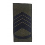 Погон на липучці Головний майстер сержант ЗСУ Олива (розмір 5х10 см)