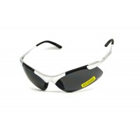 Окуляри захисні Avis Lightning (gray), сірі з металевими дужками