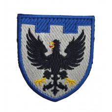 Шеврон 119 окрема бригада ТРО Чернігівська область Кольоровий (розмір 7х8 см)