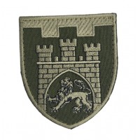 Шеврон 125 отдельная бригада ТРО Львовская область Олива (размер 7х8 см)