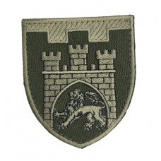 Шеврон 125 отдельная бригада ТРО Львовская область Олива (размер 7х8 см)