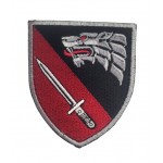 Шеврон Сили спеціальних операцій ССО 4 полк Кольоровий (розмір 7х8 см)