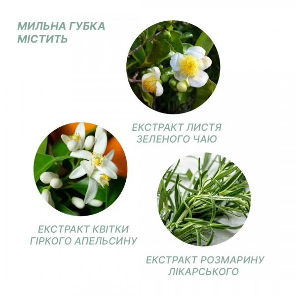 Одноразовый душ для ежедневной личной гигиены тела Estem Classic - 3575258 Одноразовый душ для ежедневной личной гигиены тела Estem Classic - 3575258