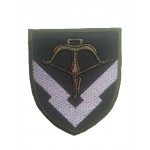 Шеврон 229 Объединенный центр обеспечения тыла