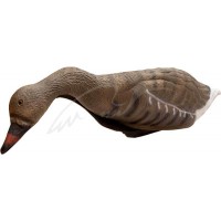 Підсадна гуска Birdland, що годується