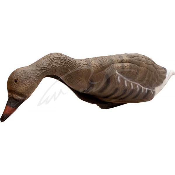 Підсадна гуска Birdland, що годується - 3566324