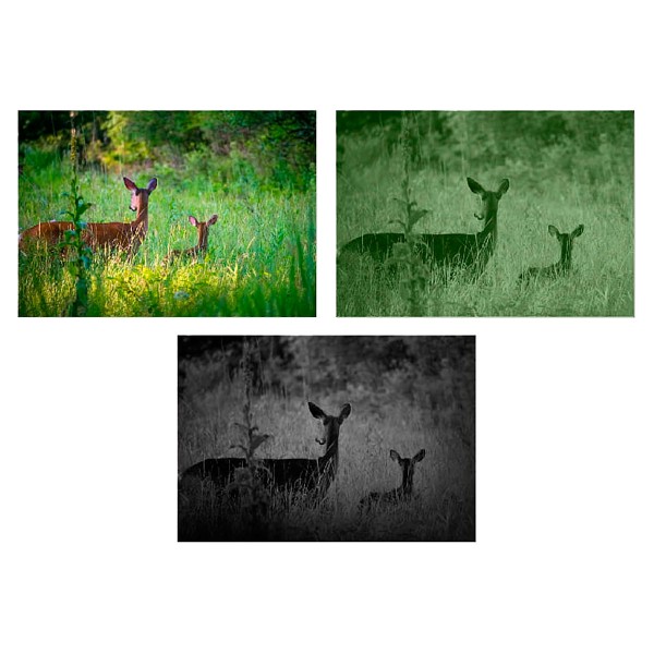 Цифровий приціл GUIDE DU50 1920x1080 50mm - 3576148 Цифровий приціл GUIDE DU50 1920x1080 50mm - 3576148