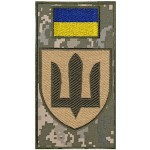 Шеврон-заглушка на липучке Военная служба правопорядка Военная служба правопорядка