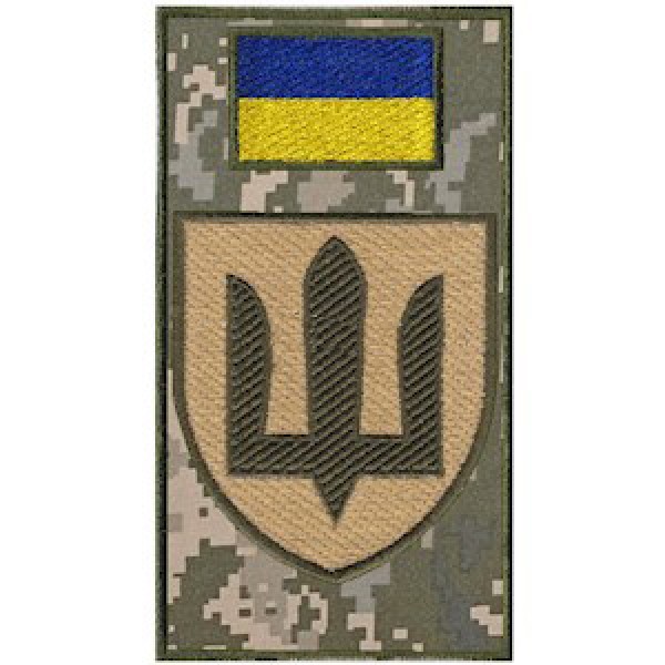 Шеврон-заглушка на липучке Военная служба правопорядка Военная служба правопорядка - 3575316