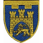 Шеврон 125 отдельная бригада ТрО (Львовская область) (цветной)