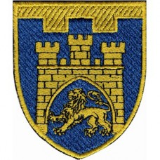 Шеврон 125 отдельная бригада ТрО (Львовская область) (цветной)