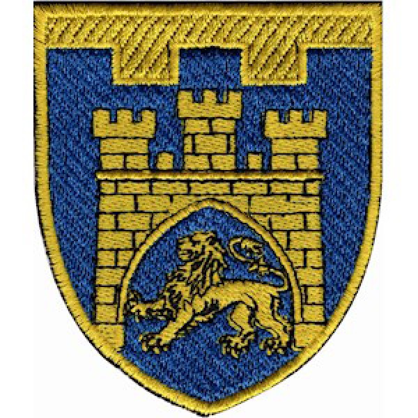 Шеврон 125 отдельная бригада ТрО (Львовская область) (цветной) - 3575265