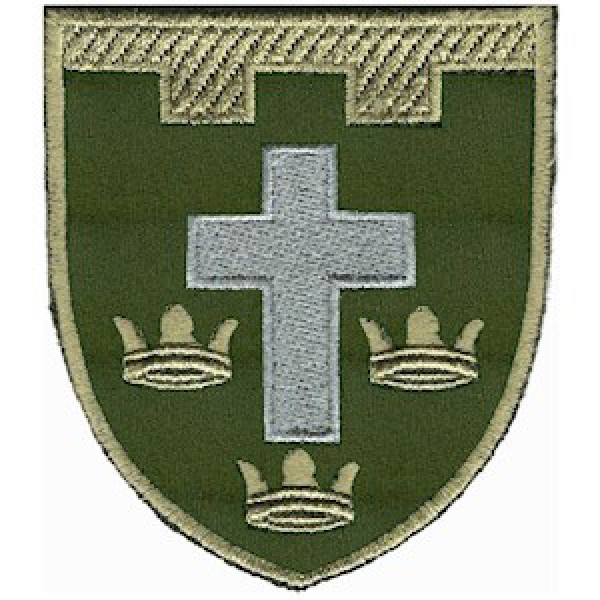 Шеврон 124 окрема бригада ТрО (Херсонська область) - 3575264