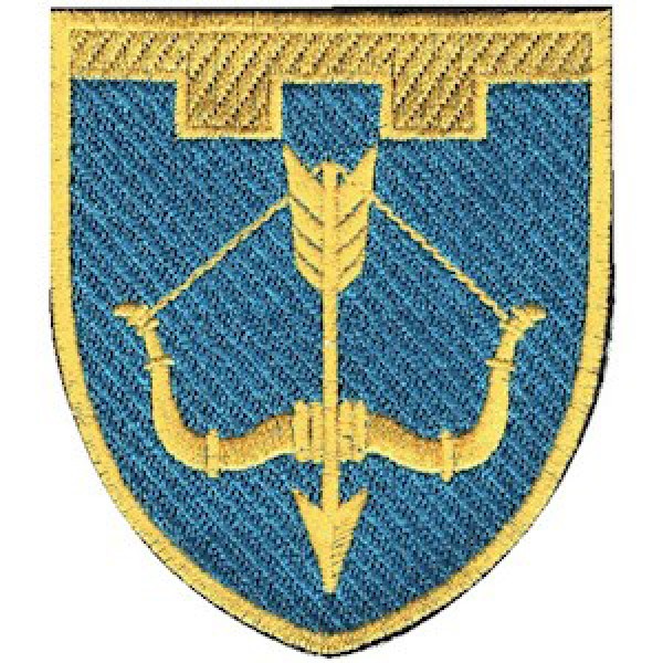 Шеврон 118 окрема бригада ТрО (Черкаська область) (кольоровий) - 3575132