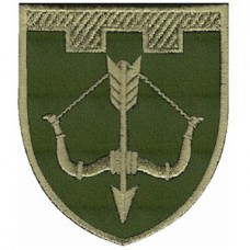 Шеврон 118 окрема бригада ТРО Черкаська область Олива (розмір 7х8 см)