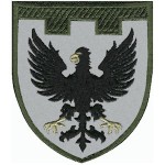 Шеврон 119 окрема бригада ТрО (Чернігівська область)