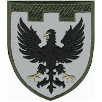 Шеврон 119 отдельная бригада ТрО (Черниговская область)