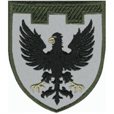 Шеврон 119 окрема бригада ТрО (Чернігівська область)