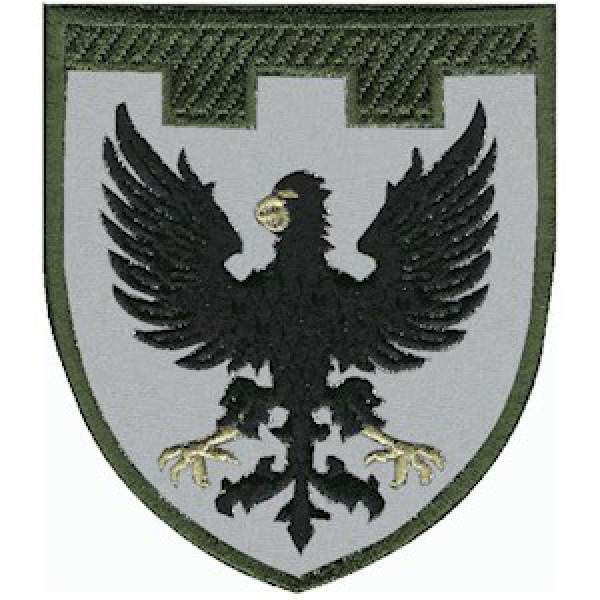 Шеврон 119 окрема бригада ТрО (Чернігівська область) - 3575135