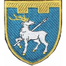 Шеврон 123 отдельная бригада ТрО (Николаевская область) (цветной)